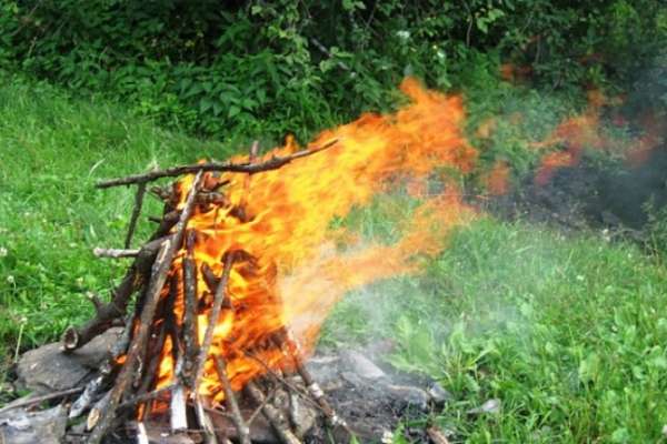 В Воронежской области введен особый противопожарный режим В Воронежской области введен особый противопожарный режим