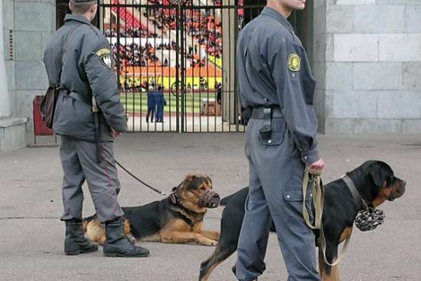В Москве наша землячка искусала полицейского В Москве наша землячка искусала полицейского