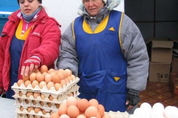 В Коминтерновском районе Воронежа выдавали незаконные разрешения на торговлю В Коминтерновском районе Воронежа выдавали незаконные разрешения на торговлю