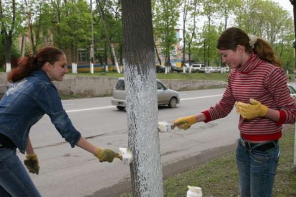 В Воронежской области ущемляют трудовые права несовершеннолетних В Воронежской области ущемляют трудовые права несовершеннолетних