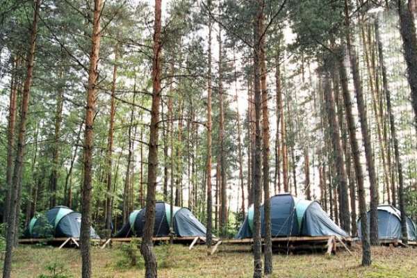 Под Воронежем детский лагерь ночью закидали петардами Под Воронежем детский лагерь ночью закидали петардами