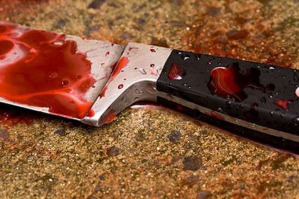 Под Воронежем зарезали двух полицейских Под Воронежем зарезали двух полицейских