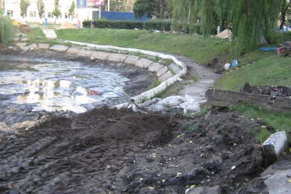 В Воронеже расчистить Лебединое озеро в срок не успели В Воронеже расчистить Лебединое озеро в срок не успели