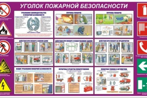 Прокуратура обязала воронежских спасателей устранить нарушения закона Прокуратура обязала воронежских спасателей устранить нарушения закона