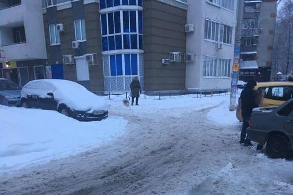 Мэрия составила 400 протоколов в адрес воронежских УК за плохую уборку дворов от снега Мэрия составила 400 протоколов в адрес воронежских УК за плохую уборку дворов от снега