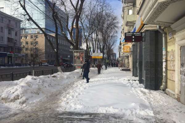 Воронежские предприниматели перевыполнили план по соблюдению дизайн-регламента Воронежские предприниматели перевыполнили план по соблюдению дизайн-регламента