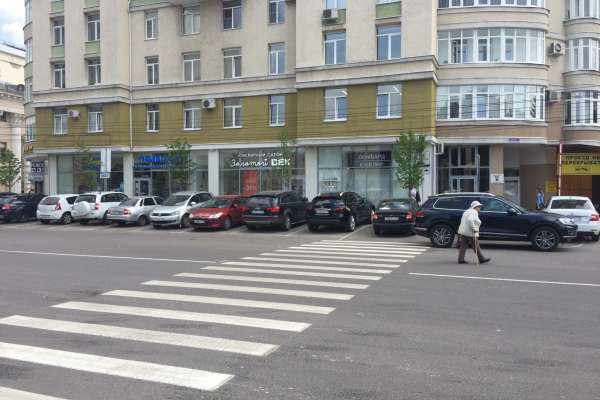 В Воронеже на платной парковке нарисовали зебру В Воронеже на платной парковке нарисовали зебру