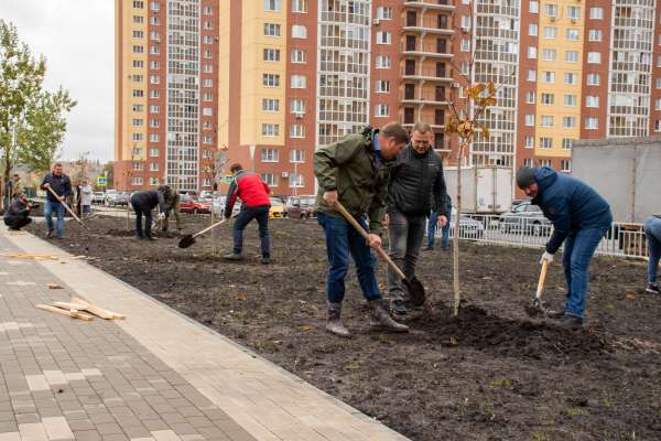 В Воронеже ДСК высадит 300 саженцев В Воронеже ДСК высадит 300 саженцев