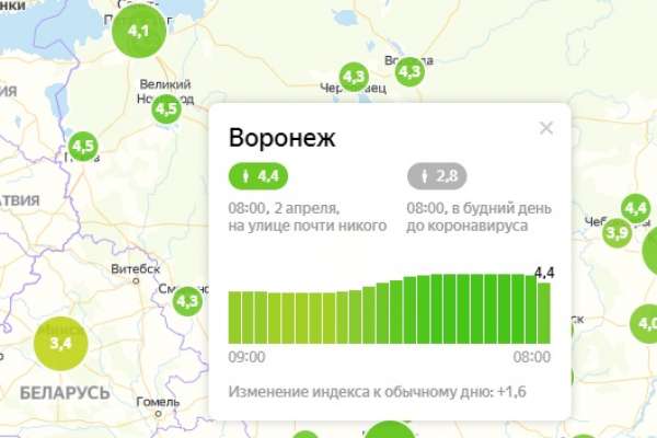 Яндекс дал Воронежу самую высокую оценку самоизоляции среди миллионников