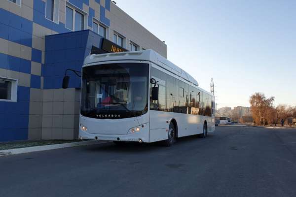 В Воронеж приехали 20 автобусов для «Автолайна» Дмитрия Крутских