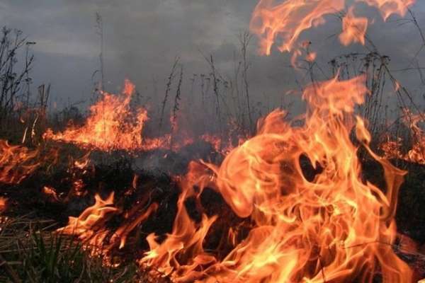 В последний день лета в Воронежской области произошло 13 природных пожаров В последний день лета в Воронежской области произошло 13 природных пожаров
