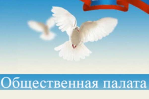 Воронежская общественная палата обзаведется собственным аппаратом Воронежская общественная палата обзаведется собственным аппаратом