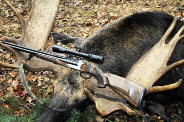 В Воронежской области незаконно отстреливают парнокопытных В Воронежской области незаконно отстреливают парнокопытных