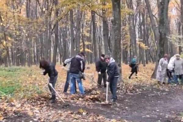 Уникальные деревья в воронежском Дендрарии будут охранять добровольцы Уникальные деревья в воронежском Дендрарии будут охранять добровольцы