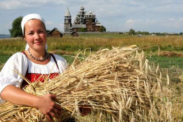 В Воронежской области пристальное внимание уделяется труженикам села! В Воронежской области пристальное внимание уделяется труженикам села!
