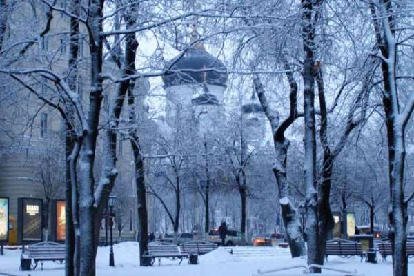 В Воронеже идет плановая уборка улиц от снега В Воронеже идет плановая уборка улиц от снега