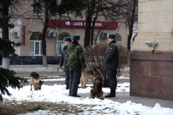 В Воронеже перед визитом Путина у здания правительства области дежурят кинологи с собаками В Воронеже перед визитом Путина у здания правительства области дежурят кинологи с собаками