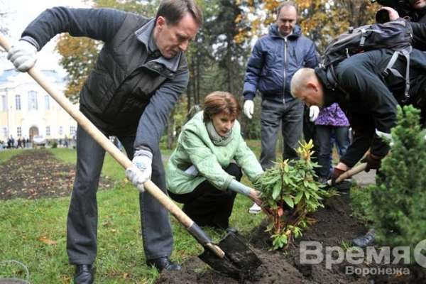 Осудили воронежца, укравшего посаженные к 425-летию города деревья Осудили воронежца, укравшего посаженные к 425-летию города деревья