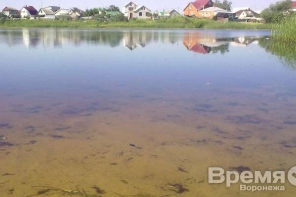 Из-за чего в Воронеже река покраснела, а по поверхности плавает дохлая рыба Из-за чего в Воронеже река покраснела, а по поверхности плавает дохлая рыба