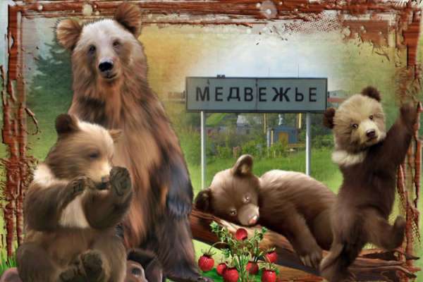 В здание администрации Медвежье под Воронежем нагрянули с выемкой В здание администрации Медвежье под Воронежем нагрянули с выемкой