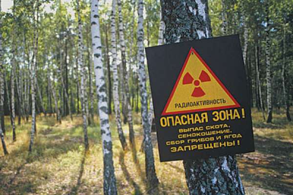 Нововоронежская АЭС забыла отметить «черный юбилей» Нововоронежская АЭС забыла отметить «черный юбилей»