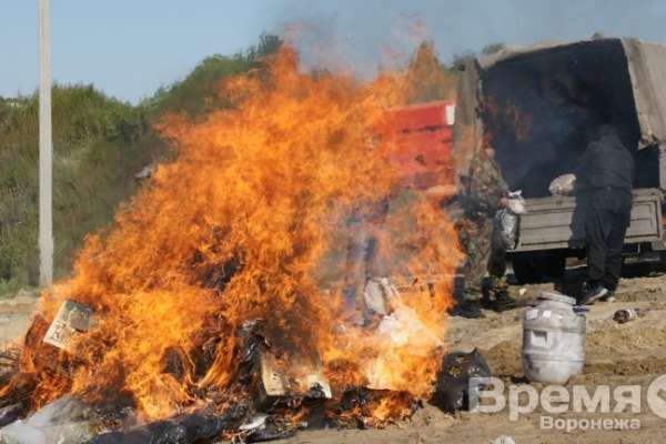 В Воронеже сожгли больше 100 кг наркотиков В Воронеже сожгли больше 100 кг наркотиков