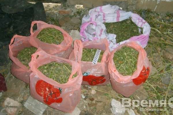 Под Воронежем наркотики прятали в клетке для кроликов Под Воронежем наркотики прятали в клетке для кроликов