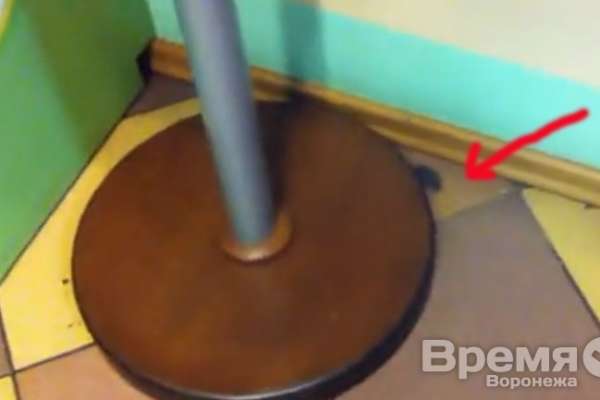 В детском кафе сити-парка «Град» воронежцы на видео сняли… мышь В детском кафе сити-парка «Град» воронежцы на видео сняли… мышь