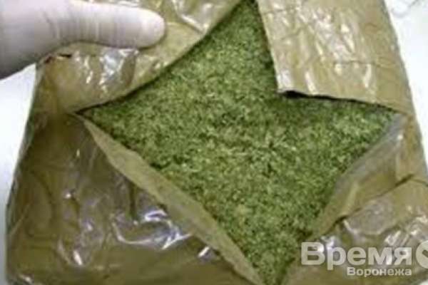 У воронежца в тайнике нашли 1,5 кг марихуаны