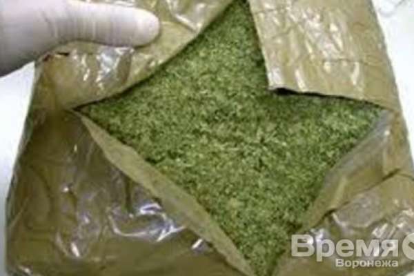 У воронежца в тайнике нашли 1,5 кг марихуаны У воронежца в тайнике нашли 1,5 кг марихуаны