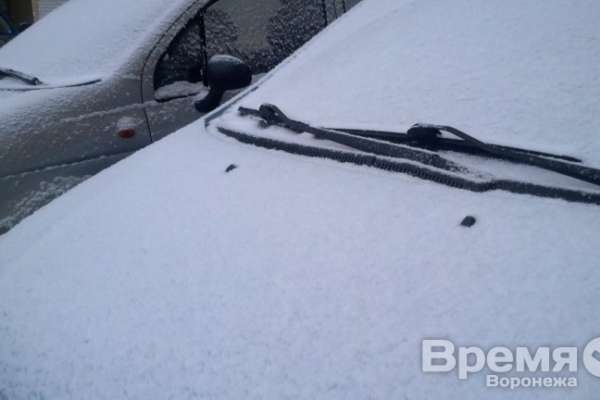 В Воронеже выпал первый снег В Воронеже выпал первый снег