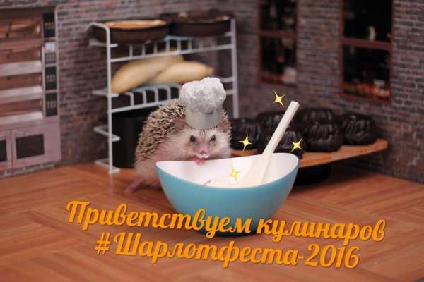 Воронежцев ждет благотворительный фестиваль шарлотки Воронежцев ждет благотворительный фестиваль шарлотки