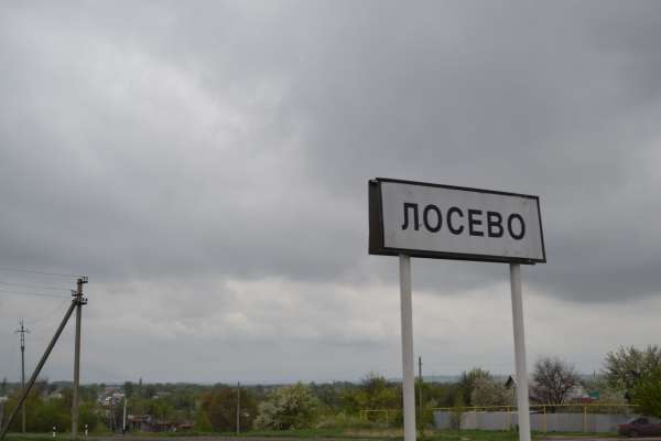 Новый платный участок трассы М-4 под Воронежем построят за 62,4 млрд рублей Новый платный участок трассы М-4 под Воронежем построят за 62,4 млрд рублей