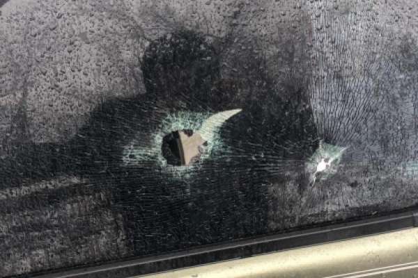 Воронежский СК возбудил уголовное дело по огнестрелу в Рамони Воронежский СК возбудил уголовное дело по огнестрелу в Рамони