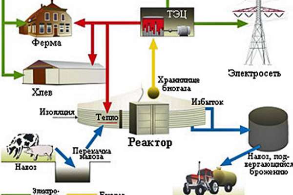 Воронежским фермерам разрешат вырабатывать электричество из навоза Воронежским фермерам разрешат вырабатывать электричество из навоза