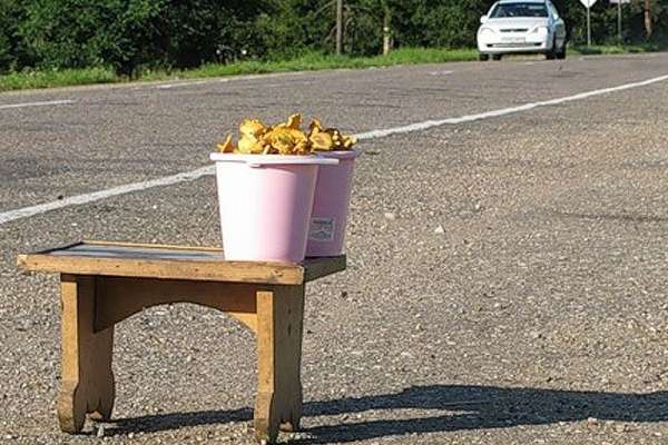 Воронежский мэр о придорожной торговле: «Сумасшествие какое-то!» Воронежский мэр о придорожной торговле: «Сумасшествие какое-то!»