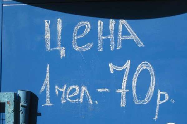 «Стоимость человеческой жизни» в Воронеже составляет около миллиона рублей «Стоимость человеческой жизни» в Воронеже составляет около миллиона рублей