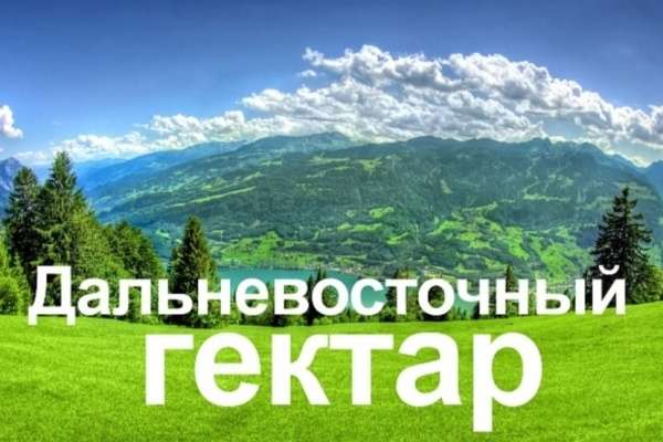 Воронежцам нужны дальневосточные участки у океана Воронежцам нужны дальневосточные участки у океана