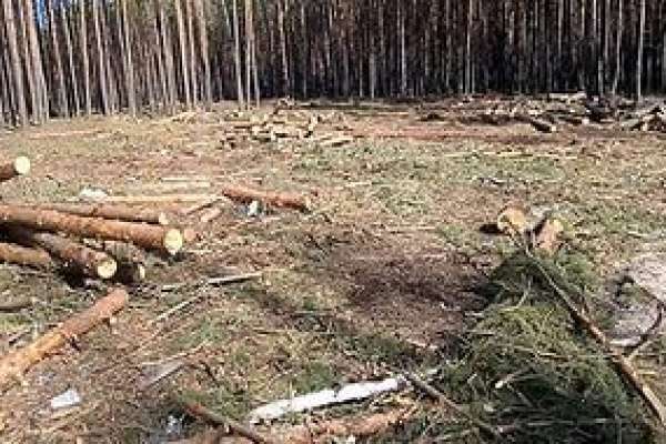 Глава городского поселения Воронежской области попал под следствие Глава городского поселения Воронежской области попал под следствие