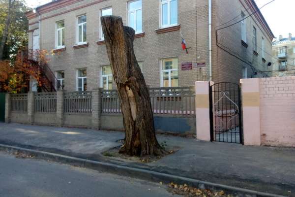 Воронежский детский сад оказался в центре скандала Воронежский детский сад оказался в центре скандала