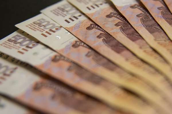 СК по Воронежской области пополнил бюджет России на 222 млн рублей СК по Воронежской области пополнил бюджет России на 222 млн рублей