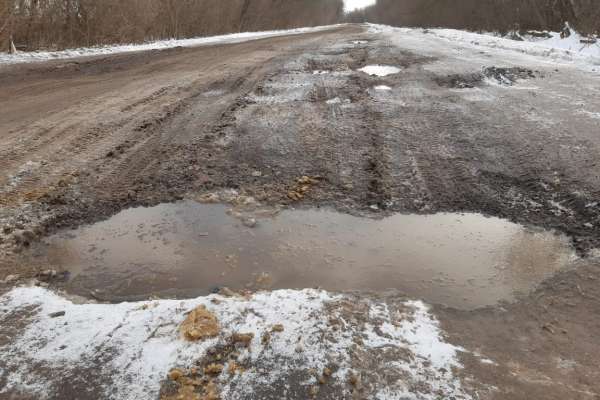 Под Воронежем просят привести в порядок региональную дорогу Под Воронежем просят привести в порядок региональную дорогу