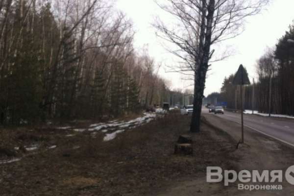 Воронежским пригородным поселкам досталось меньше половины обещанного Воронежским пригородным поселкам досталось меньше половины обещанного