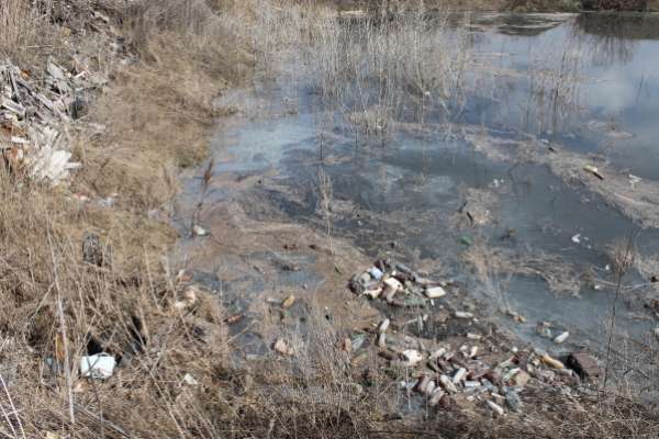 В экологическом рейтинге Воронежская область скатывает всё ниже В экологическом рейтинге Воронежская область скатывает всё ниже