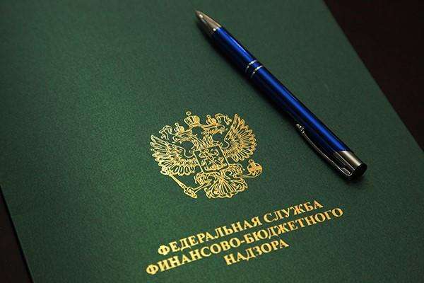 Воронежских ревизоров ждут в казначействе Воронежских ревизоров ждут в казначействе