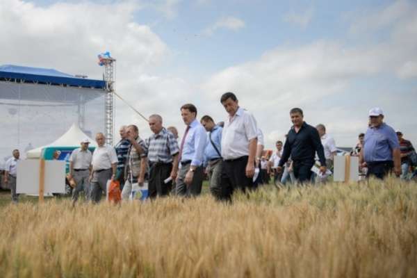 Воронежскому губернатору предложили слить сельские районы Воронежскому губернатору предложили слить сельские районы