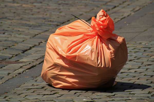 Воронежцы представят Путину проект по утилизации мусора 