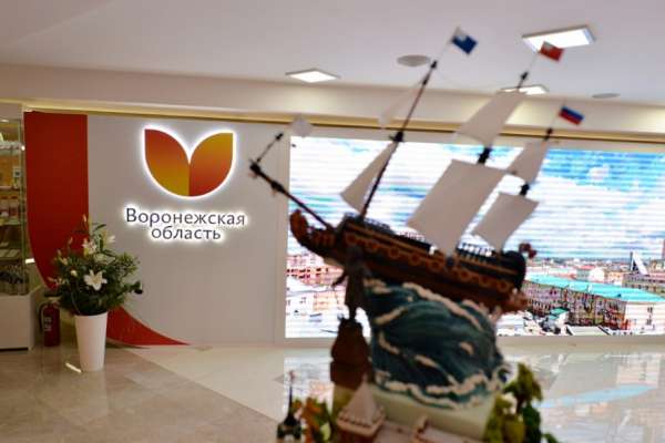 Воронежский губернатор объяснил отмену выборов мэра стремлением к совершенству Воронежский губернатор объяснил отмену выборов мэра стремлением к совершенству