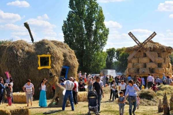 Выставка «Воронеж – город-сад» будет посвящена цветам, красоте и кино Выставка «Воронеж – город-сад» будет посвящена цветам, красоте и кино