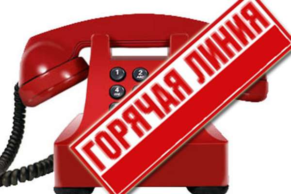 Воронежская полиция запустила «горячую линию» Воронежская полиция запустила «горячую линию»